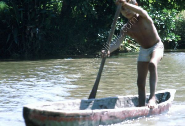 Venezuelan, Rio Limon, Sinamaica